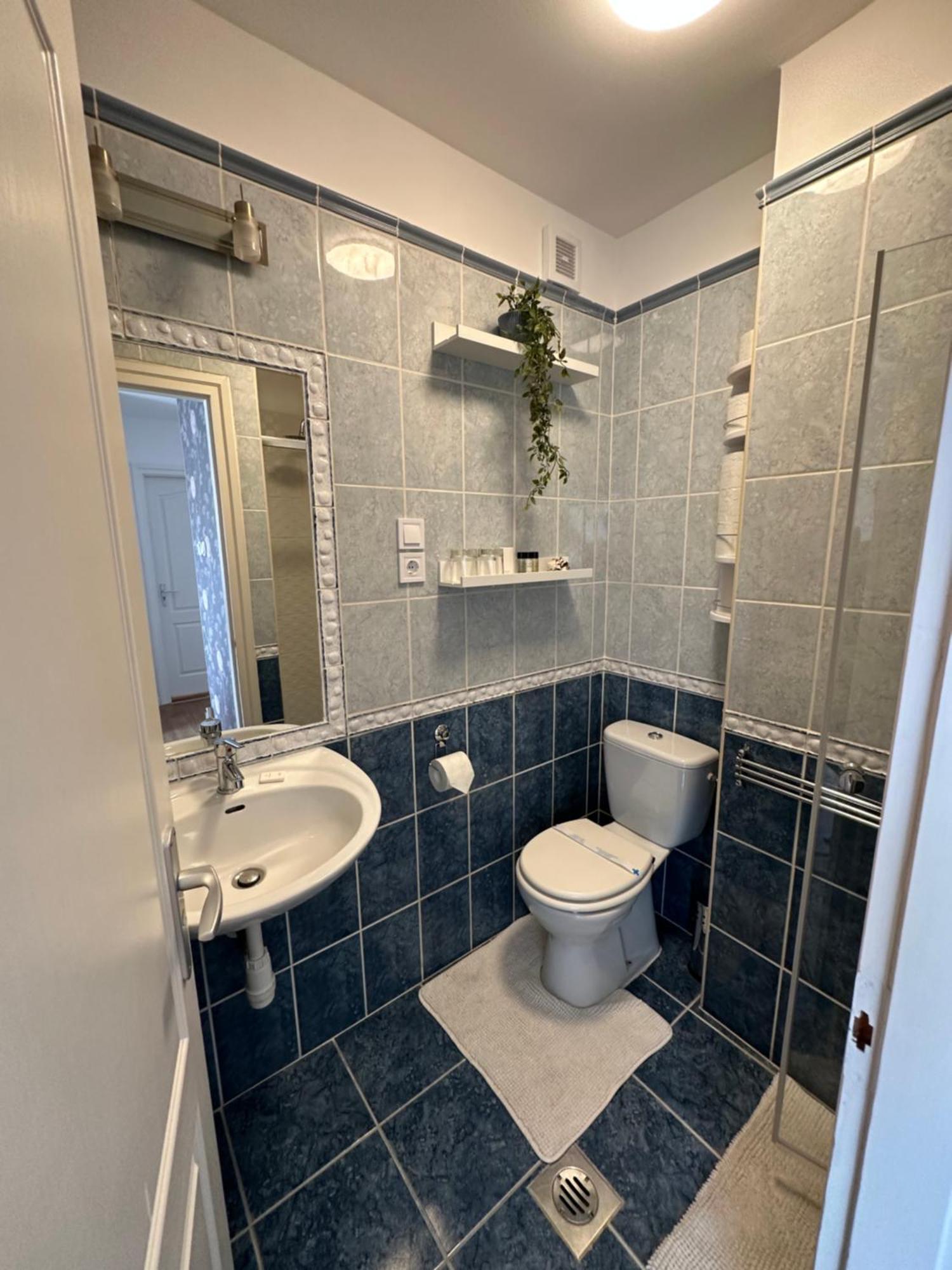 Centroom Apartment Budapest ++15ppl Kültér fotó