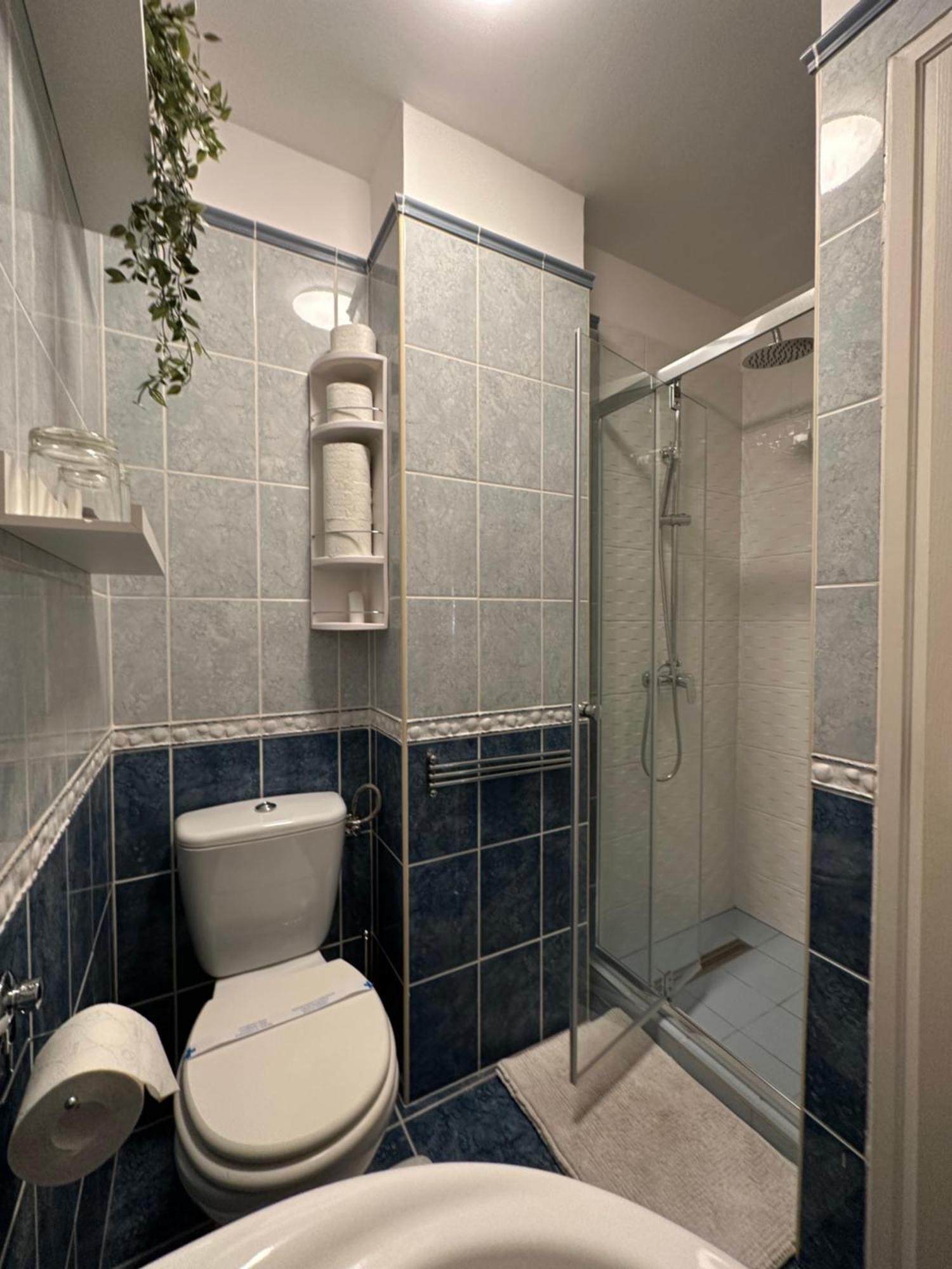 Centroom Apartment Budapest ++15ppl Kültér fotó